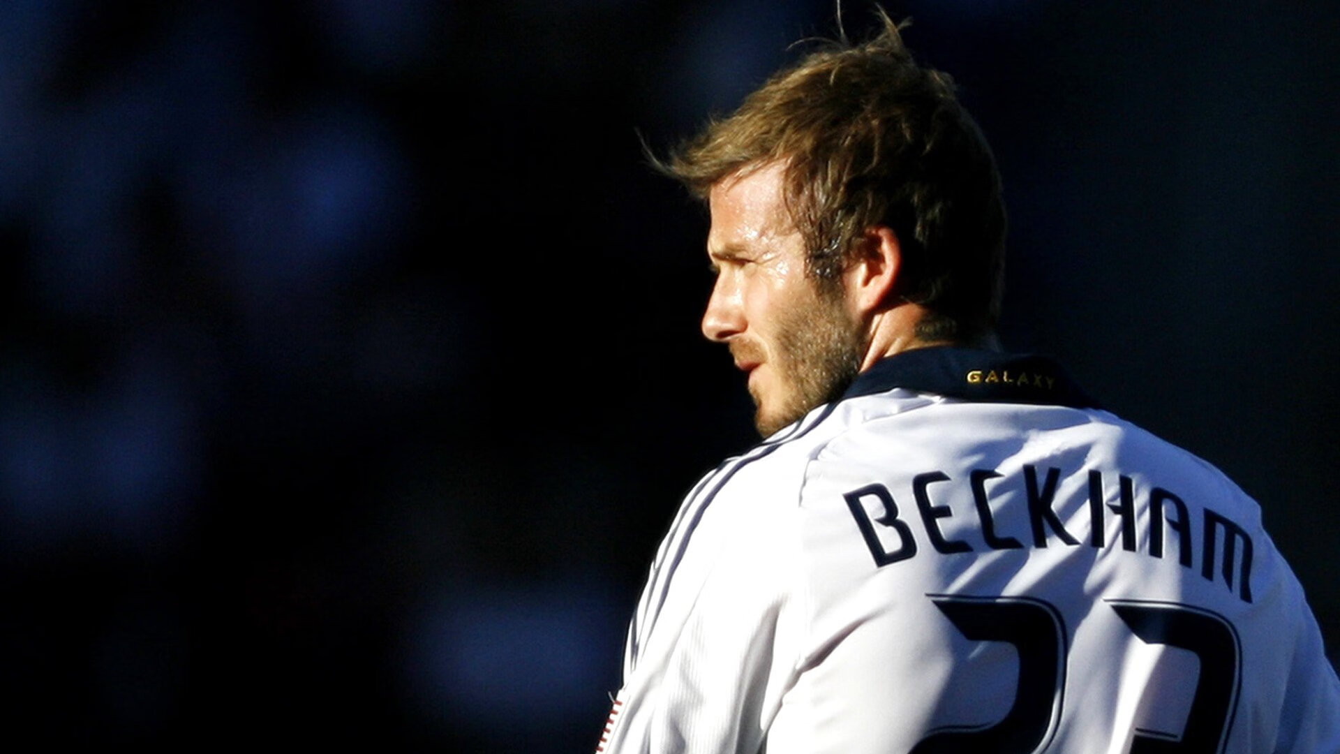 体育场馆数字化管理体系，体育场馆智能化系统