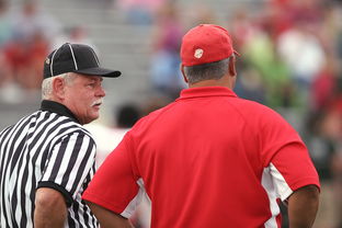 意甲裁判语义分析辅助判罚准确性的应用探讨，意甲 裁判